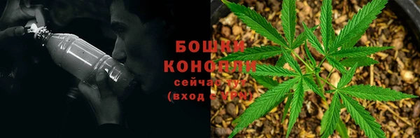прущие крисы Абинск