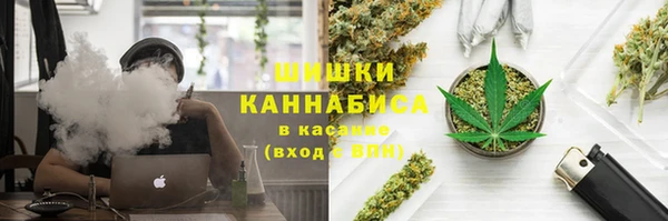 прущие крисы Абинск