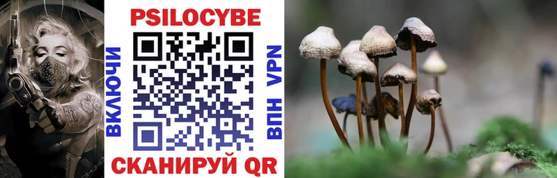 Галлюциногенные грибы мухоморы  Донской 